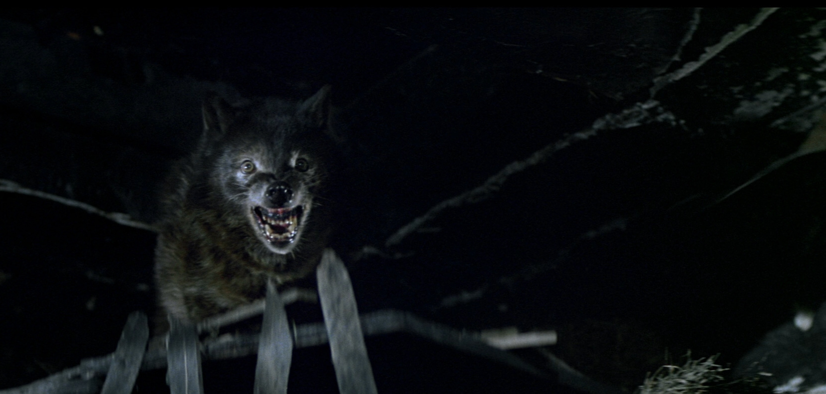Wolfen (1981).
