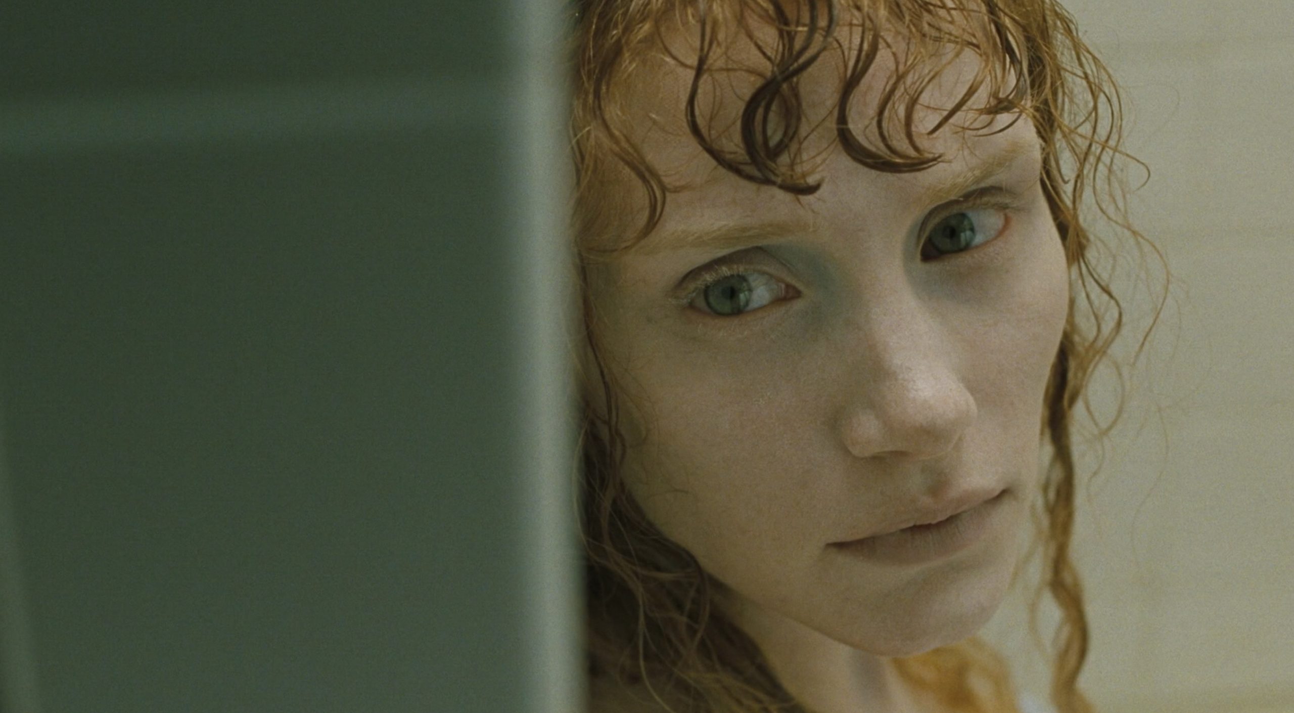 Lady in the Water (2006)