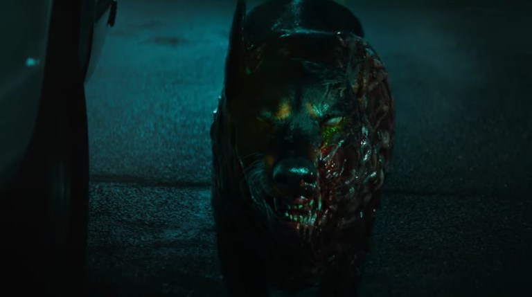 Resident Evil: Welcome to Raccoon City (2021) – Everything We Know & Trailer Breakdown
