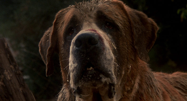 Cujo (1983).