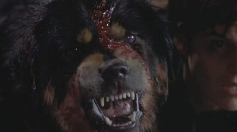 Max in Man's Best Friend (1993).