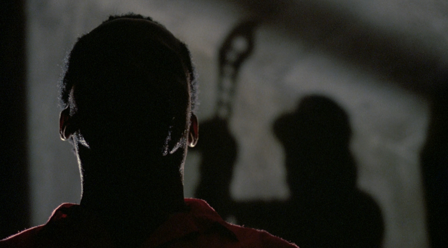 The Serpent and the Rainbow (1988).