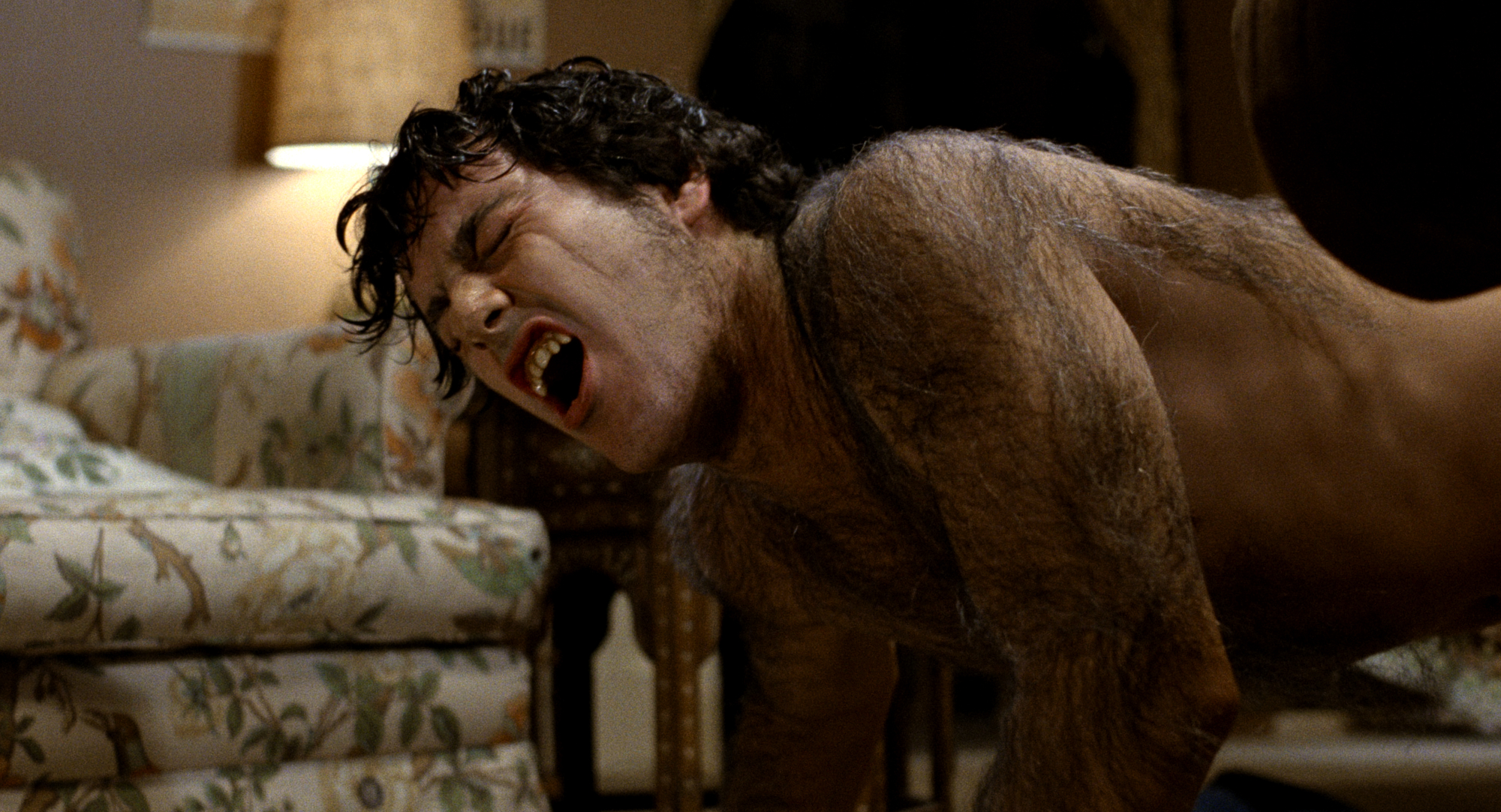 David Naughton stars in An American Werewolf in London.