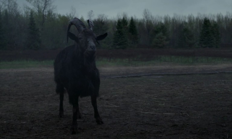 The Witch (2015)