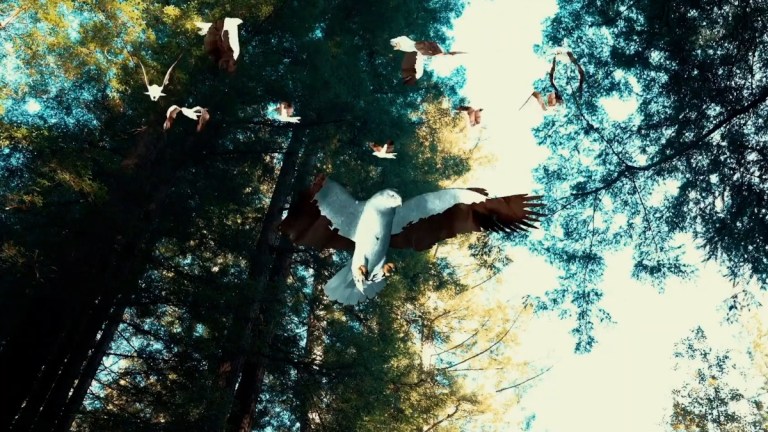 ‘Birdemic 3: Sea Eagle’ is Now Streaming, Completing the ‘Birdemic’ Trilogy