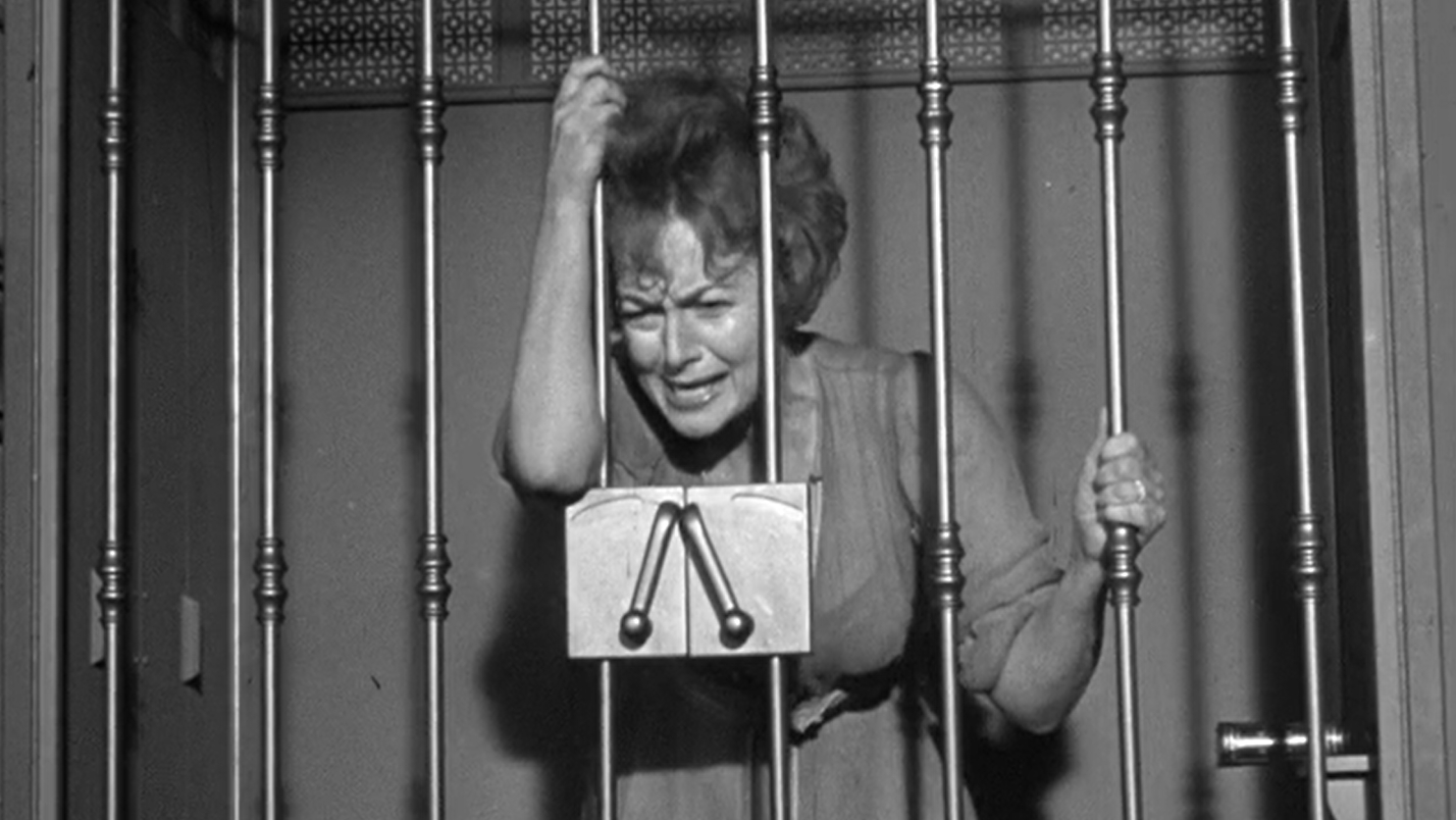 Lady in a Cage (1964)