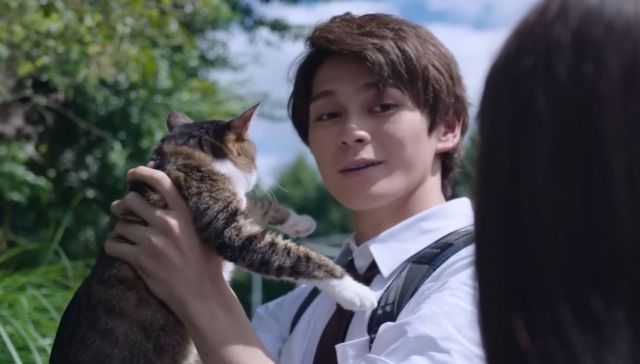 100+ of the Best Horror Movies of 2023, Ranked