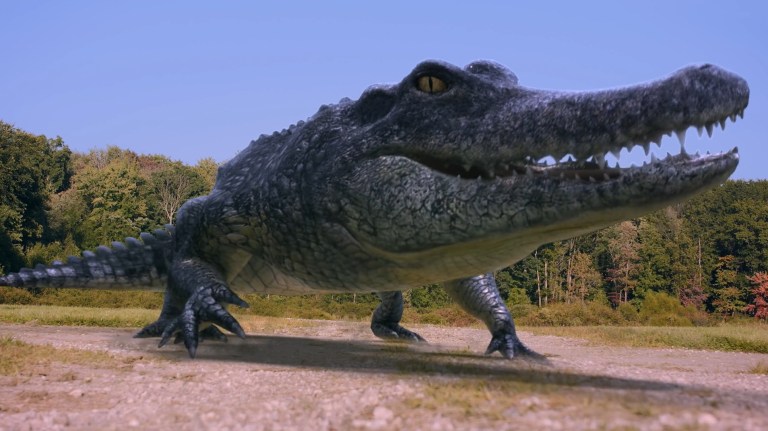 Bad CGI Gator