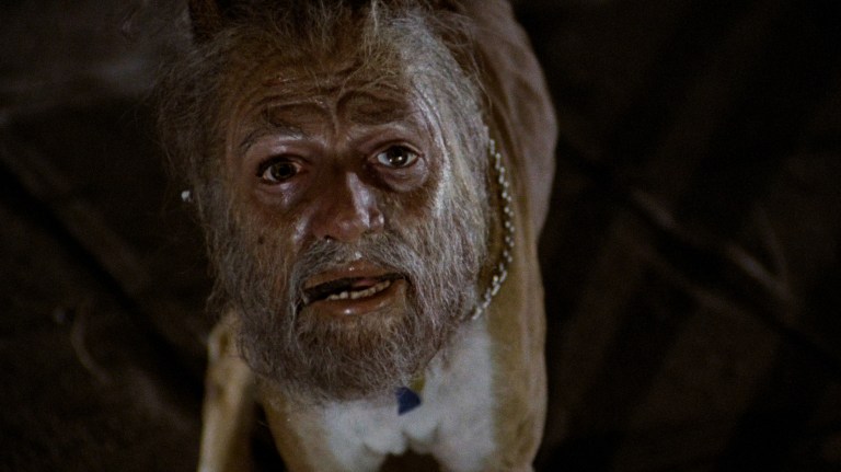 A human-faced dog in Invasion of the Body Snatchers (1978).