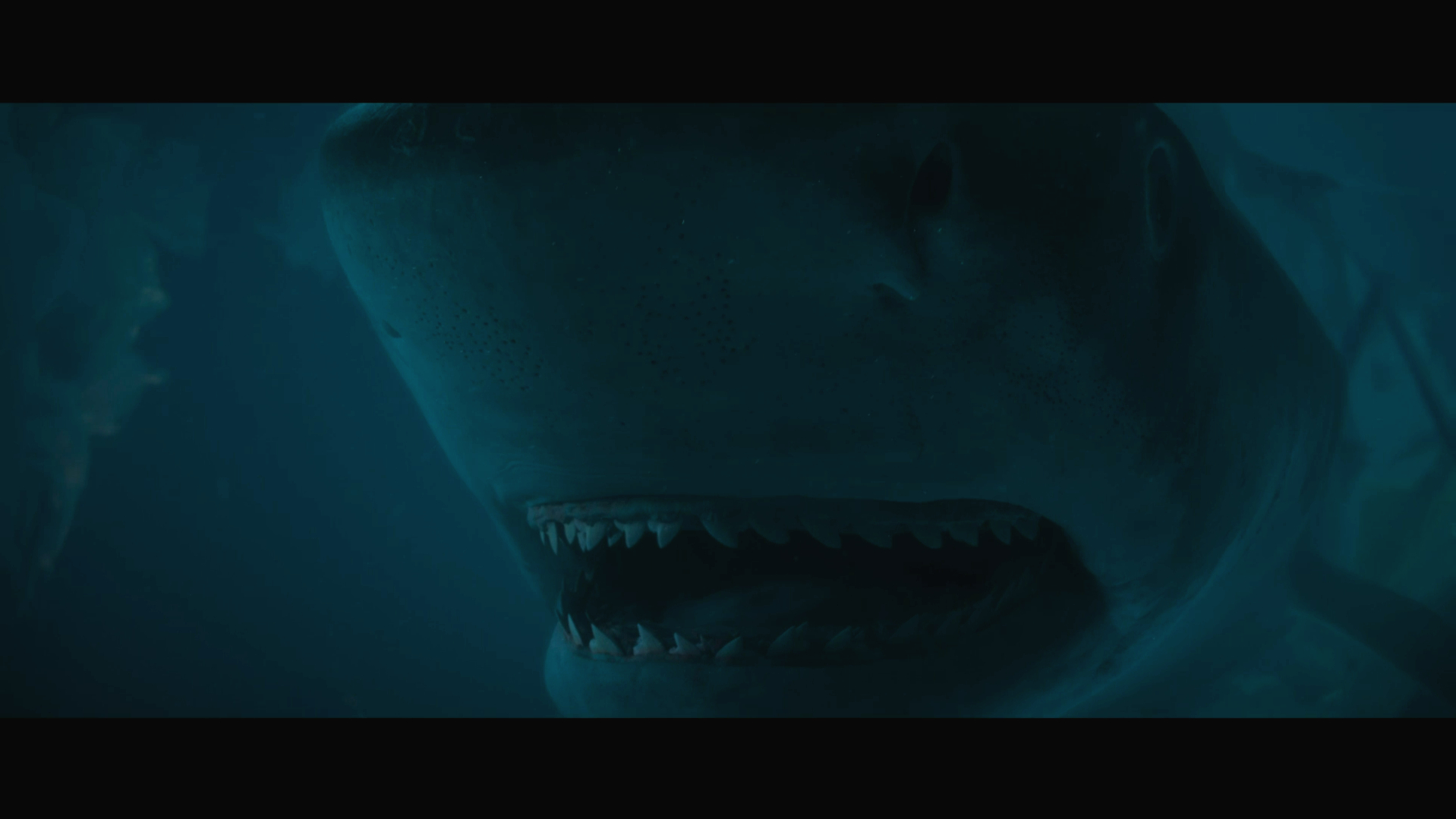 A shark swims through a hold in the side of a submerged plane in No Way Up (2024).