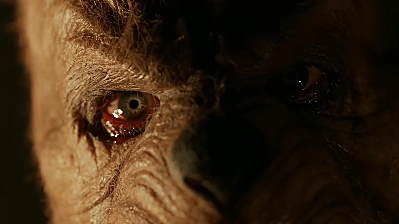 A close-up of one of the animal/human hybrids in Winnie-the-Pooh: Blood and Honey 2.