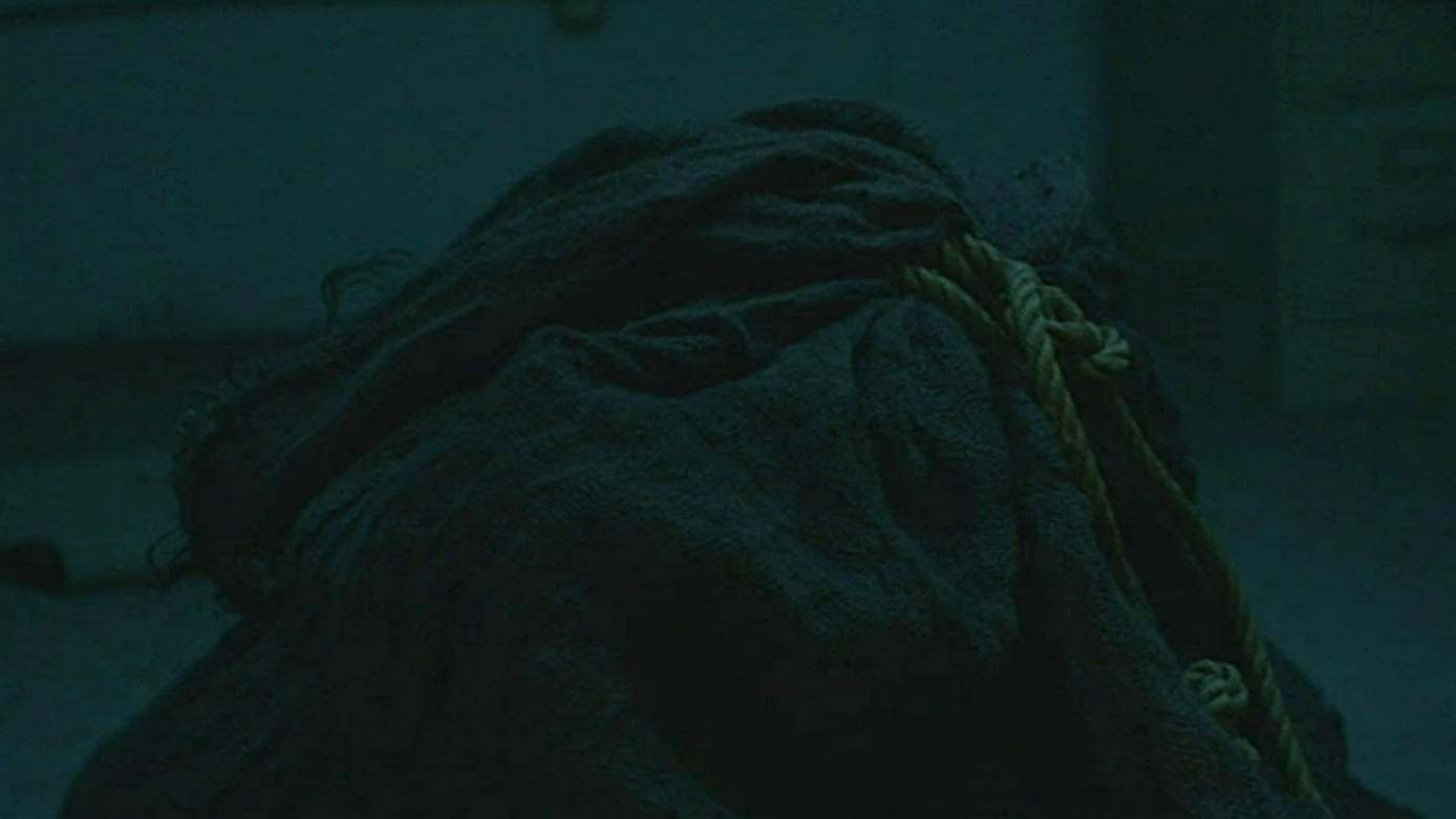 The bag from Bag of Lies (2024).