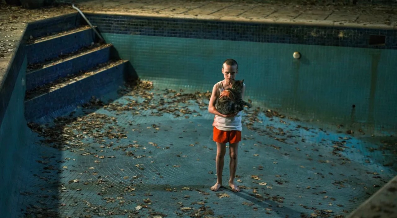 8+ Swimming Pool Horror Films