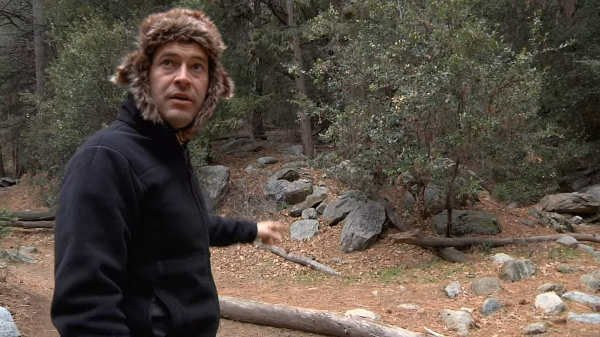 Creep (2014)