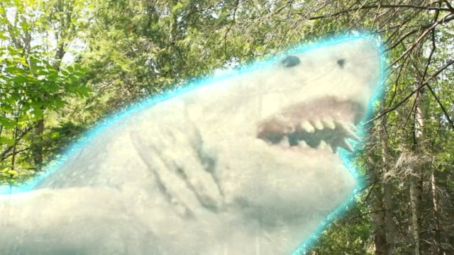 11+ Dumbest Shark Movies You Can Stream For Free During Shark Week (or whenever)