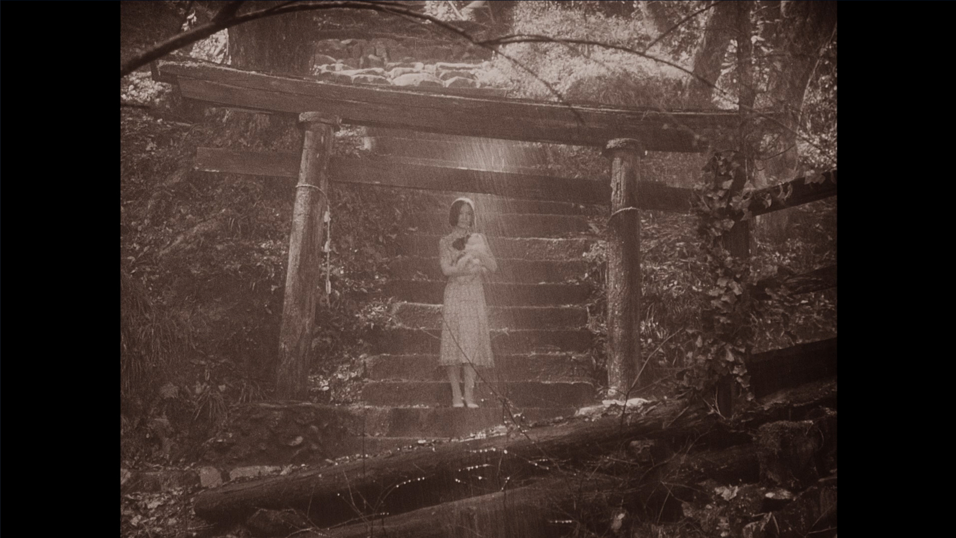 House (1977)