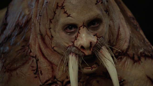 Kevin Smith Suggests ‘Tusk’ Sequel and ‘Moose Jaws’ Might be Merged Together!