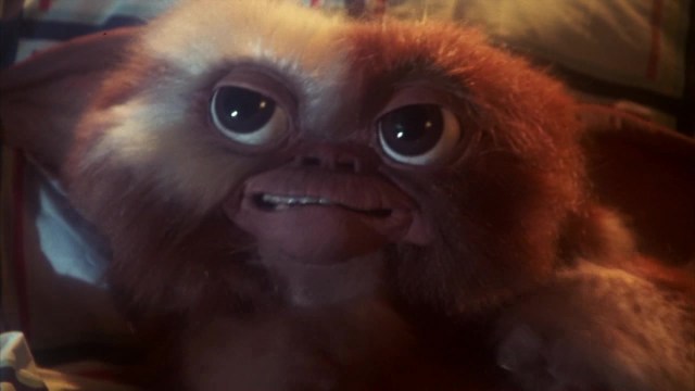 16 Terrible Gifts Given in Horror Movies