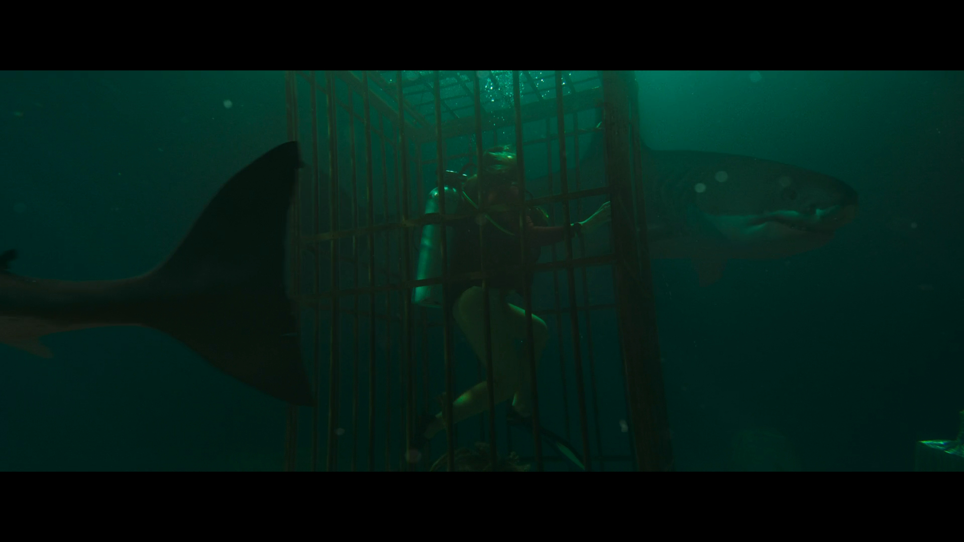 Into the Deep (2025)