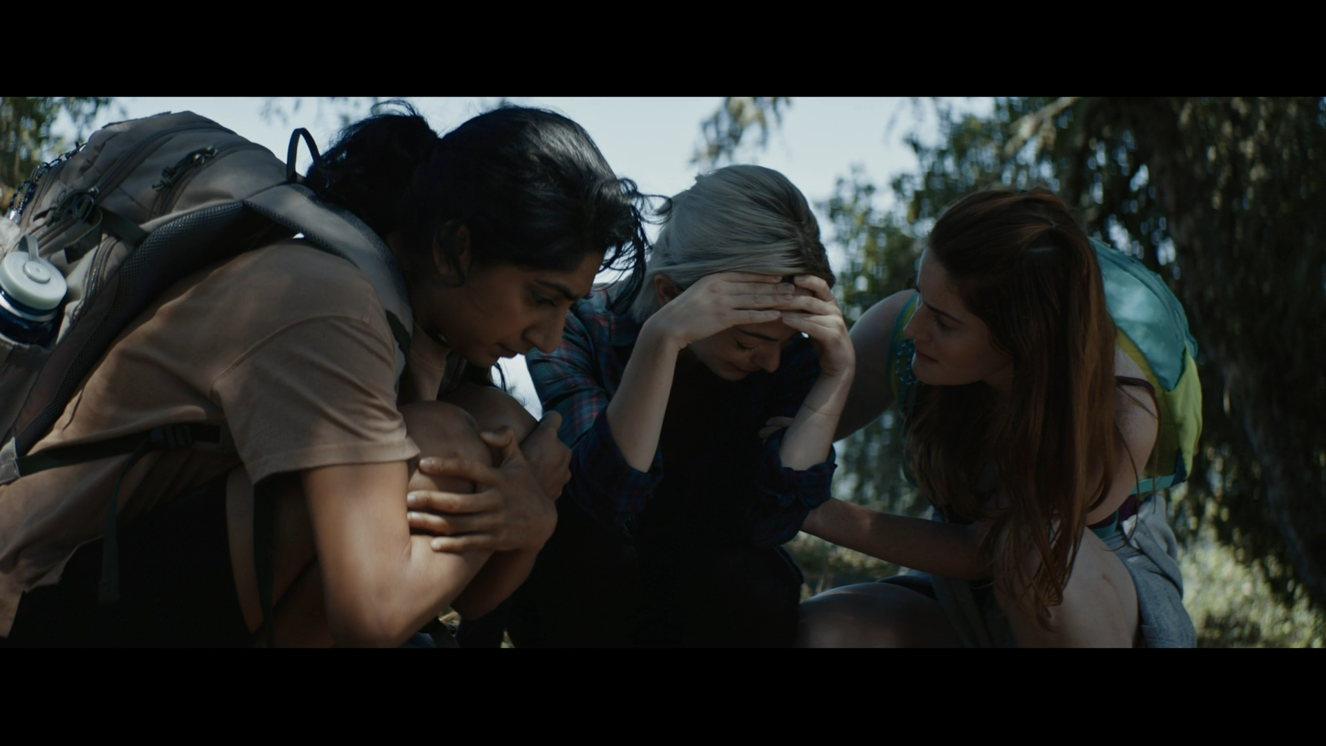The Wild (2023)