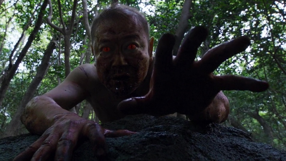 The Wailing (2016)