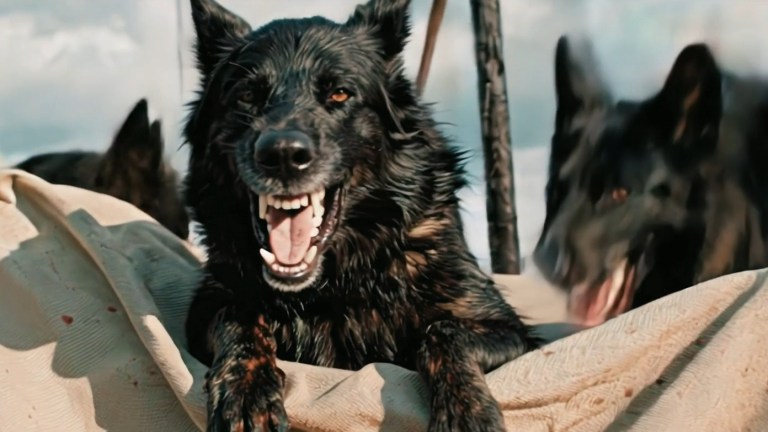 A black dog barking in A Breed Apart (2025)