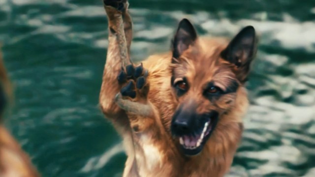 ‘A Breed Apart’ is a Lazy, AI Filled Disaster: A Review
