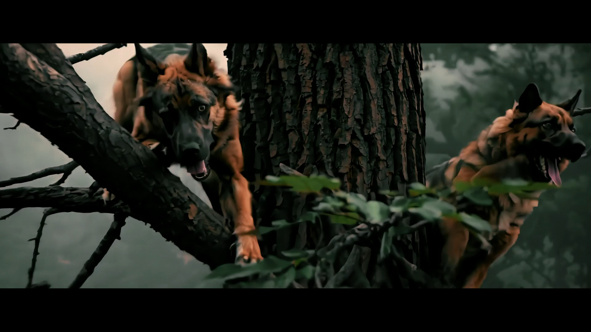A Breed Apart (2025)
