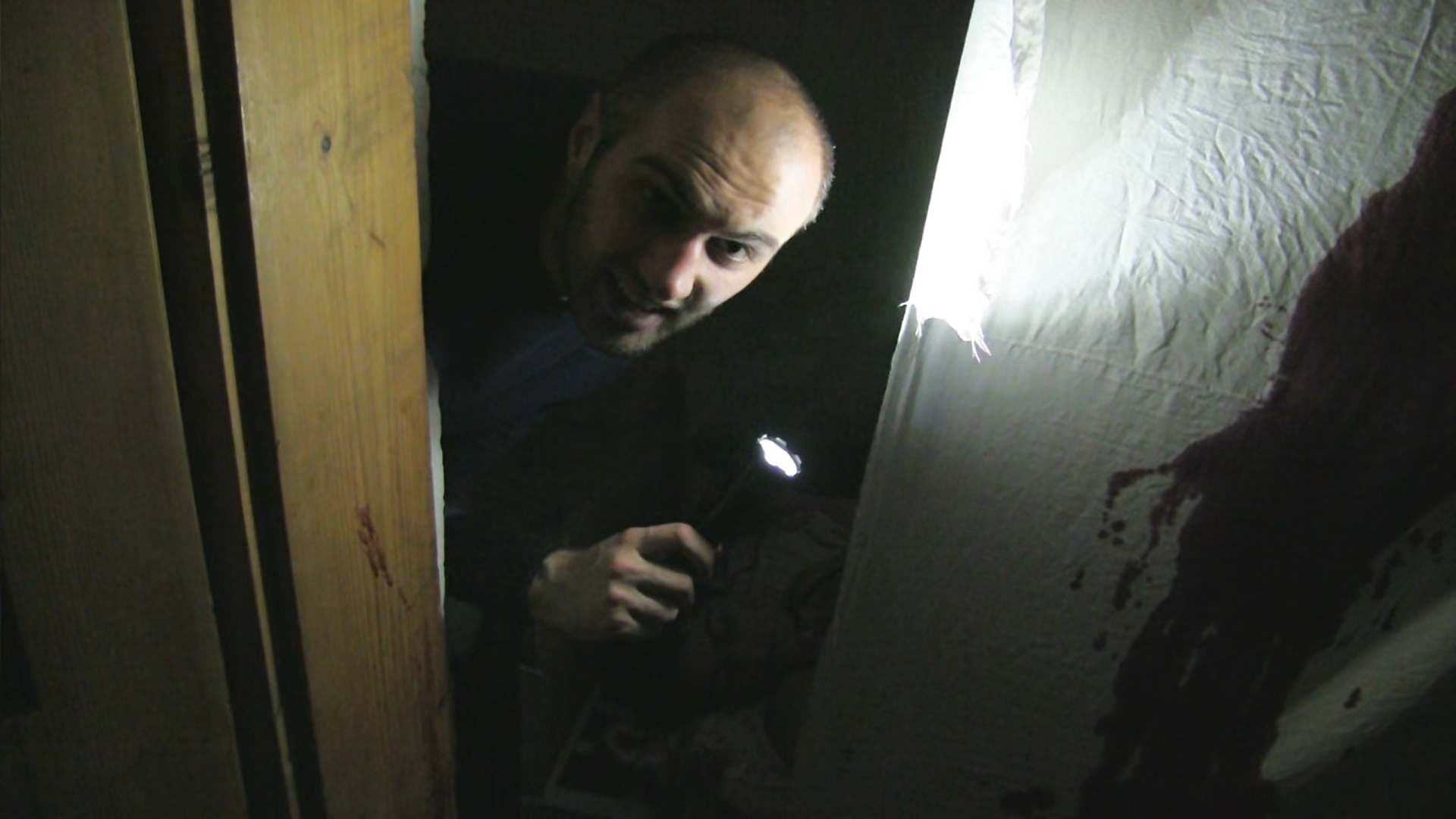 Adrian Tofei in Be My Cat: A Film for Anne.
