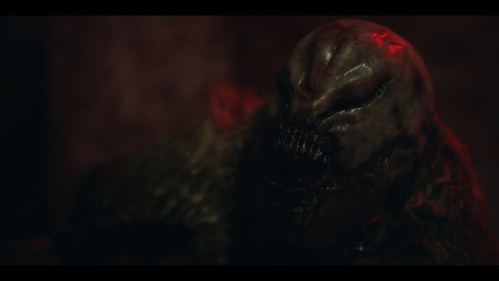 Bait (2025)