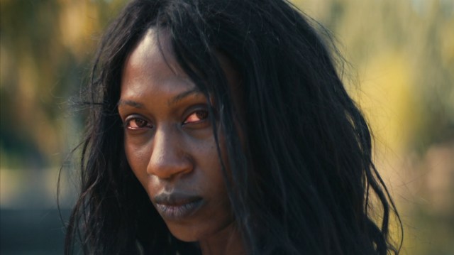 Your Daily Horror Digest for July 15, 2025