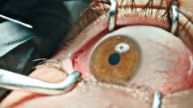 Your Daily Horror Digest for July 30, 2025