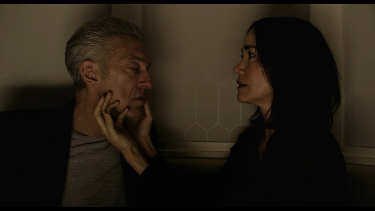 The Shrouds (2024)