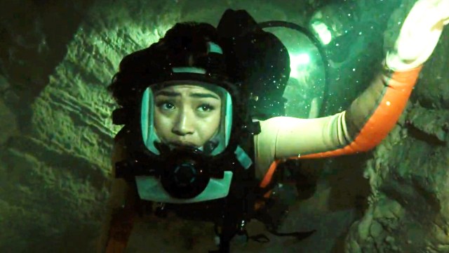 15 Scary Shark Attack Movies to Watch During Shark Week (June 20-26)