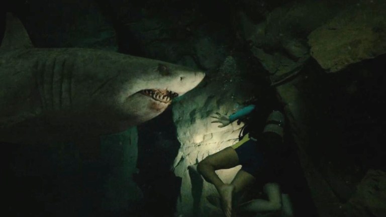 47 Meters Down: Uncaged (2019)