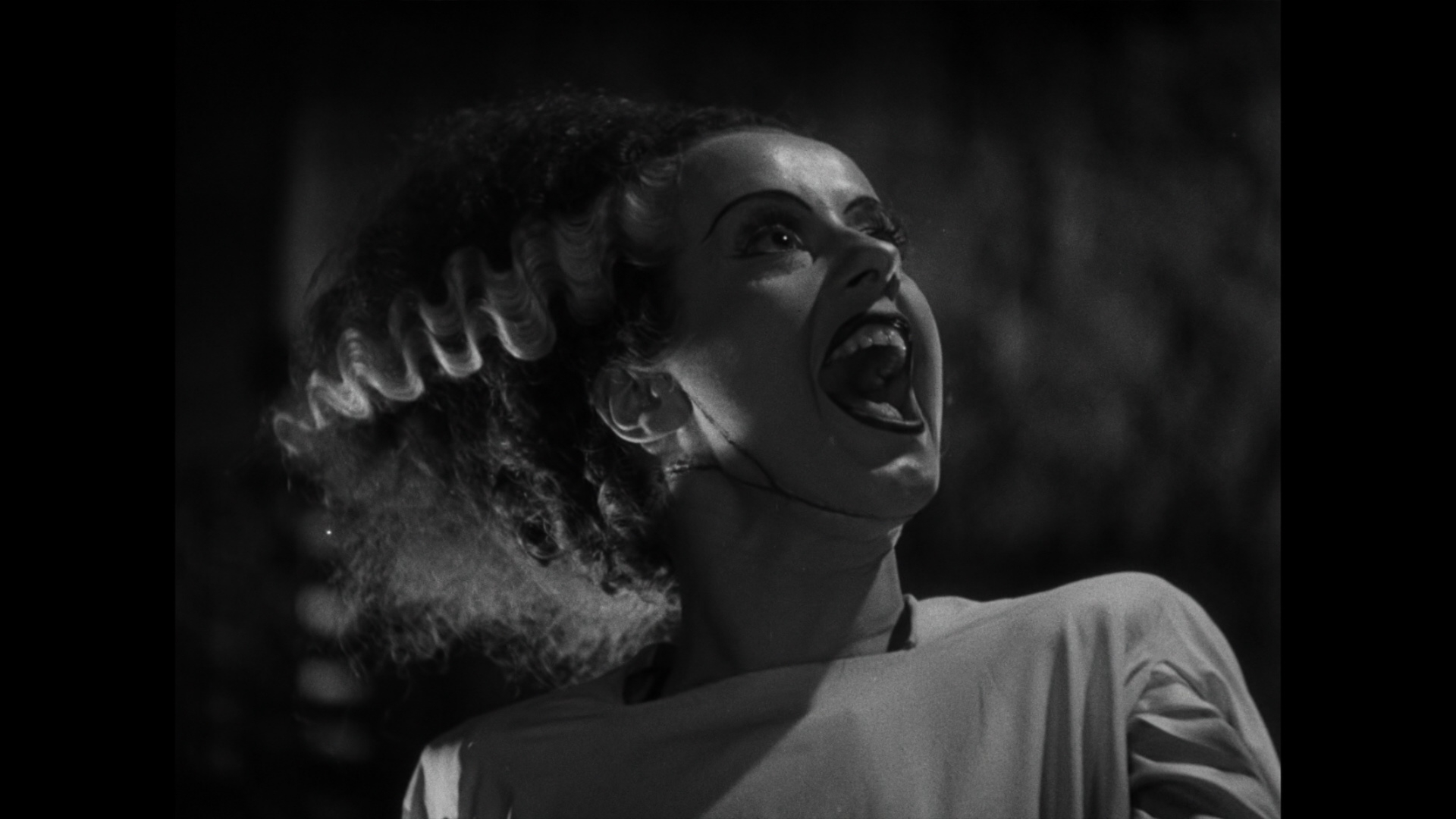 Elsa Lanchester in Bride of Frankenstein.