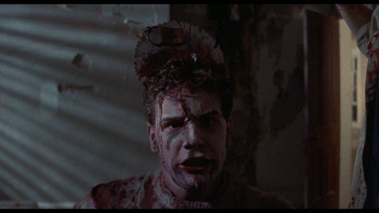 Dead Dudes in the House (1989)