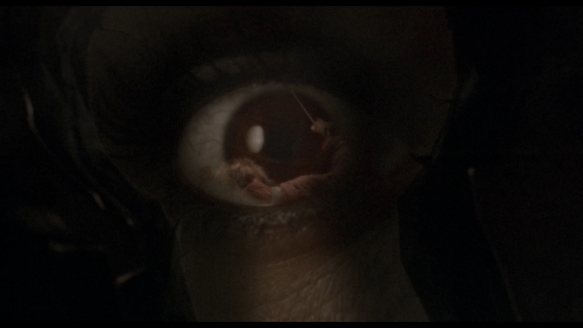 Wrong Turn (2003)