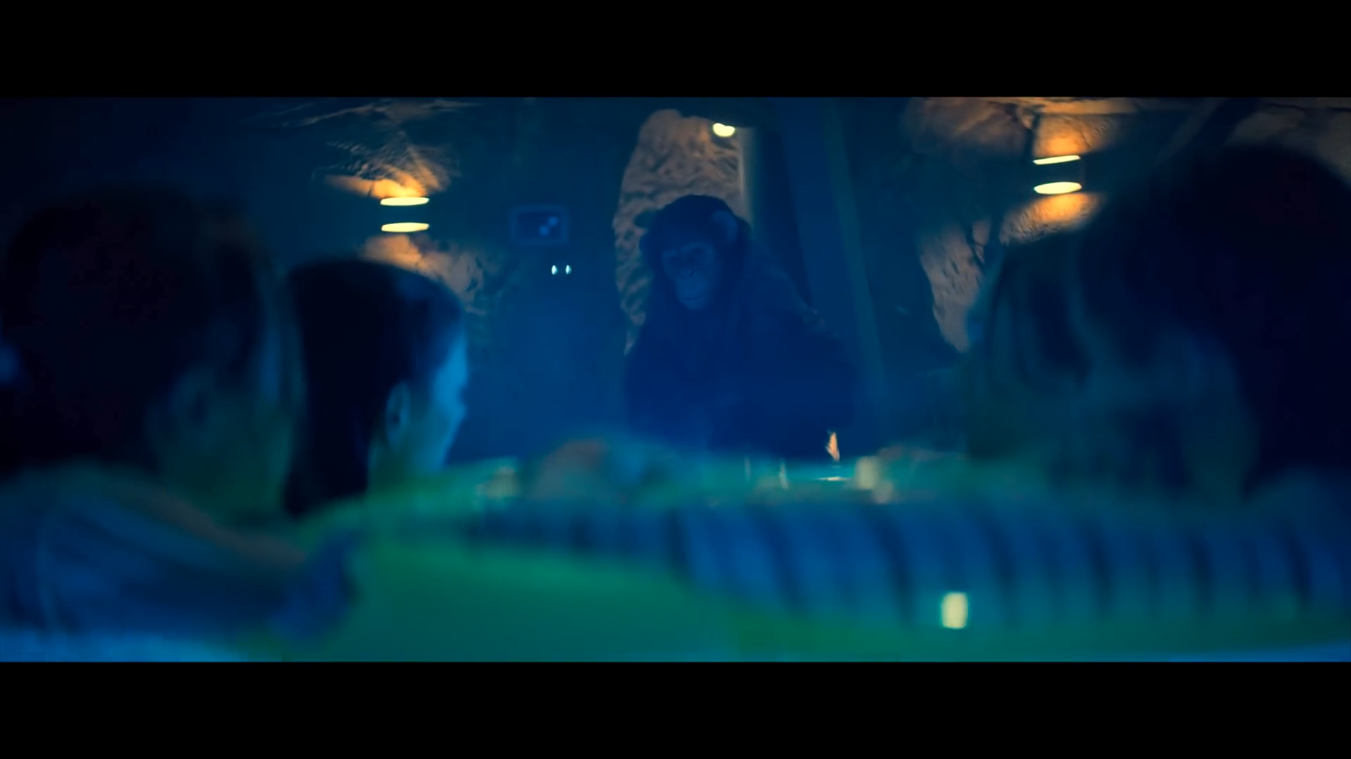 Primate (2026)